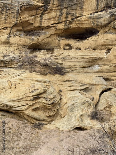 Sandstone rock wall with natural erosion shapes and small cavities.