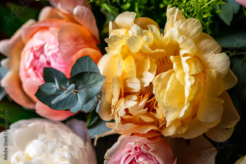 Macro shot of fresh bunch of peonies bouquet of different colors. Card Concept, gentle abstract floral background image, close up, shallow DoF