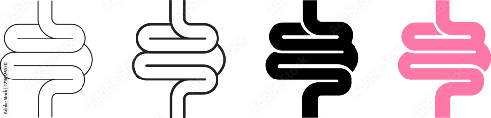 Obraz premium Intestine Human Digestive System Vector Line and Glyph Icons Set