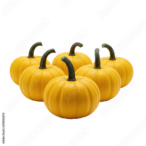 Row of five small vibrant lemon-yellow pumpkins with dark forest-green stems arranged in a neat line on a solid white background, minimalist commercial aesthetic
