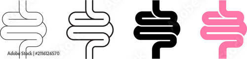 Foto Intestine Human Digestive System Vector Line and Glyph Icons Set