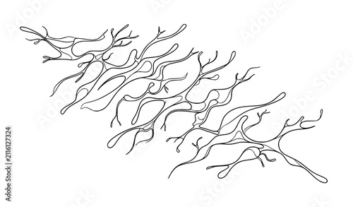 фотографія Modern Biomorphic Fluid Connection and Neural Inspired Vector Illustration Set