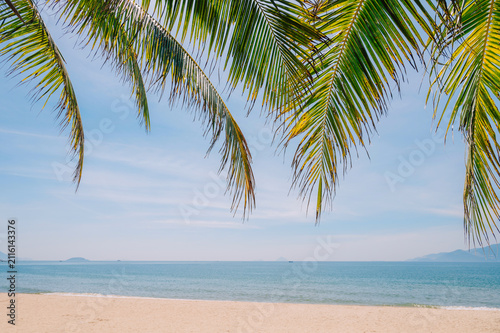 Peaceful tropical beach scene featuring a palm tree, blue ocean, clear sky, and bright sunlight creating a relaxing vacation atmosphere.