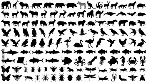 Large collection of black animal silhouettes featuring mammals birds fish insects and sea creatures for educational design projects and nature themed graphic illustrations