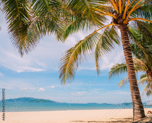 Peaceful Vietnam, Nha Trang tropical beach scene featuring a palm tree, blue sea, clear sky, and bright sunlight creating a relaxing vacation atmosphere.