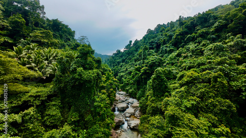 Принти на полотні Lush tropical rainforest surrounds a rocky mountain river