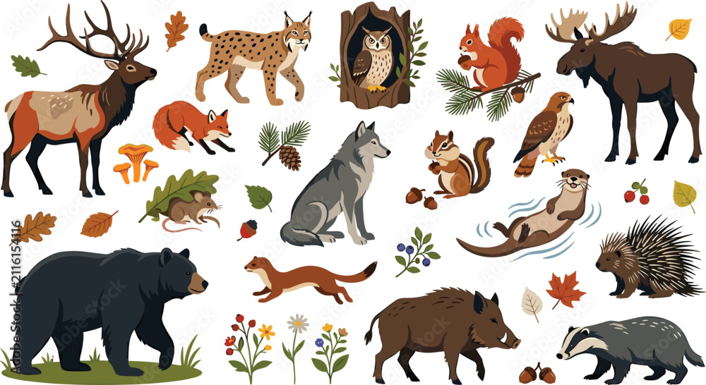 Obraz premium Forest Wildlife and Woodland Animals Vector Collection Featuring Bear, Deer, Wolf, and Fox Elements for Nature and Camping Education Graphic Designs
