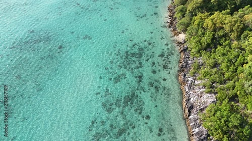 Tropical coastline with turquoise water and lush green forest