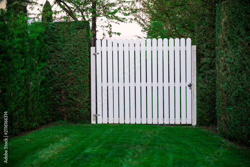 White wooden door and lawn in the garden. Minimalistic architecture style. Tidy garden setup.