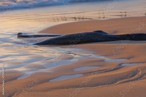 Landscape at sunrise of the beach at Grand Haven, Michigan, Lake Michigan, USA
