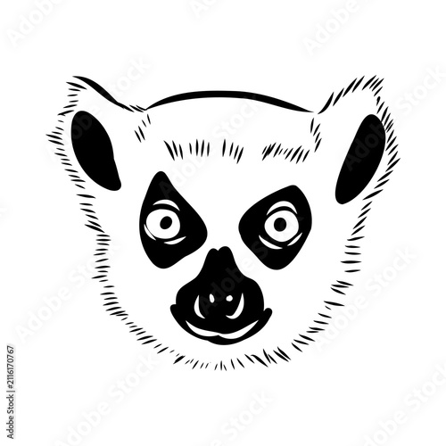 Lemur, a wild animal, vector sketch.