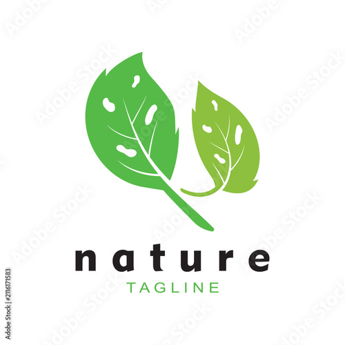 Green Tree leaf ecology nature element