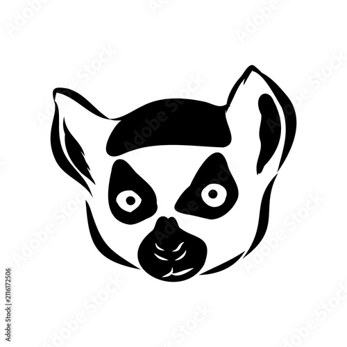 Lemur, a wild animal, vector sketch.