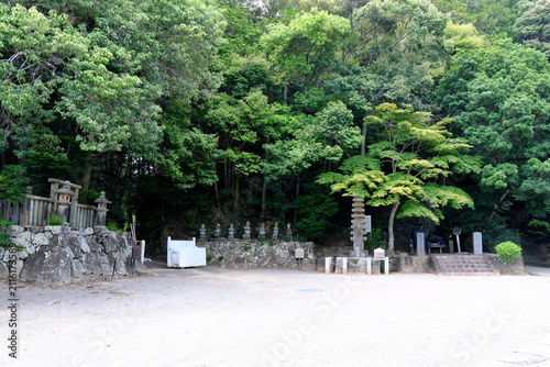 Japanese shrine ground path surrounded by green trees