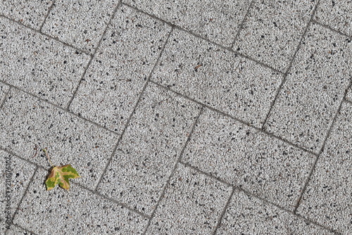 A bright yellow maple leaf lies on a gray paving slab.