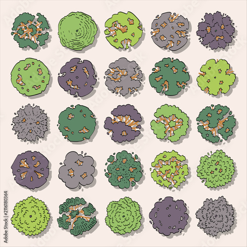 hand drawn vector set top view of tree isolated on white background.