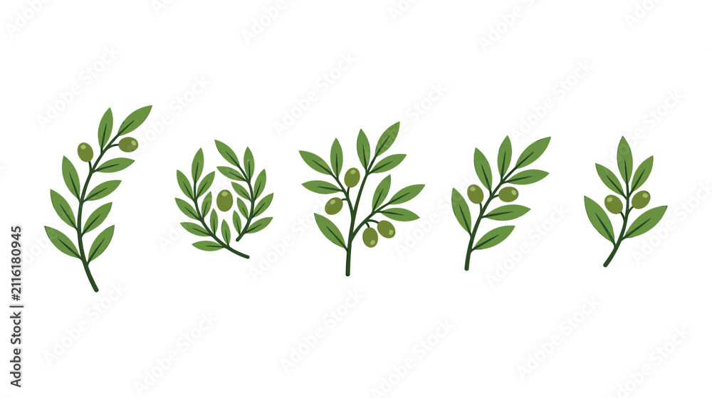 Fototapeta premium Green Olive Branches with Leaves and Fruit