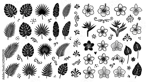 Bild auf Leinwand Tropical Leaves and Exotic Flowers Hand-Drawn Elements