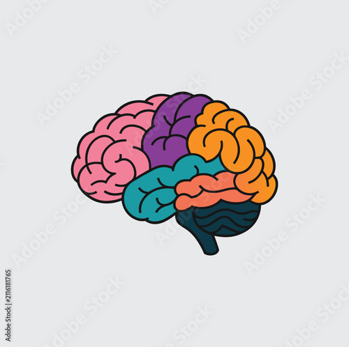 Colorful Human Brain Illustration, Flat Cartoon Icon Design