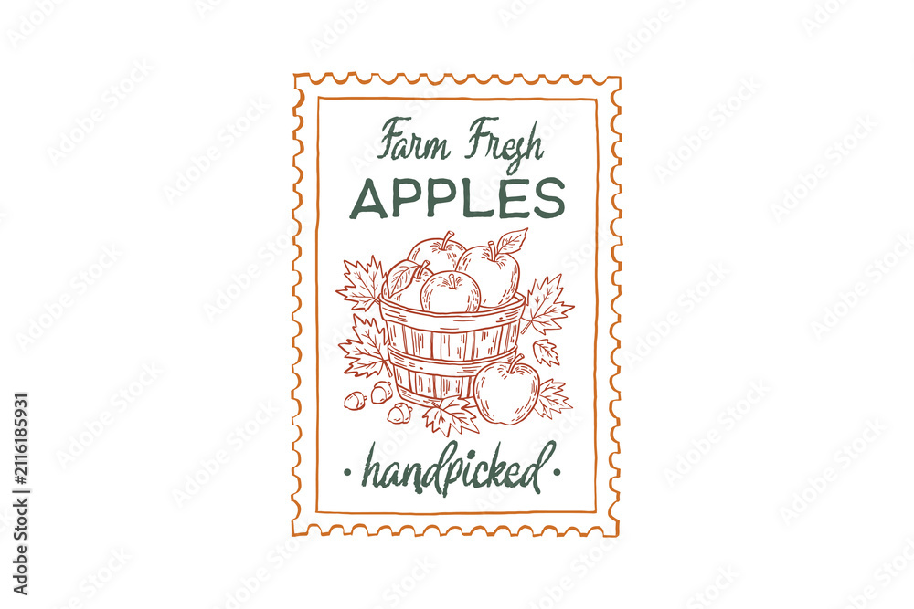 Fototapeta premium Vintage fall stamp farm fresh apples handpicked lettering with hand drawn basket of apples and maple leaves line art Design