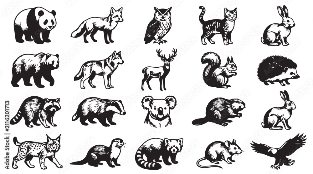 Obraz premium Set of wild animal sketches and silhouettes with wildlife squirrel hedgehog illustration