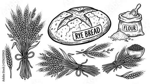 Hand-drawn Rye Bread and Wheat Stalks Illustration