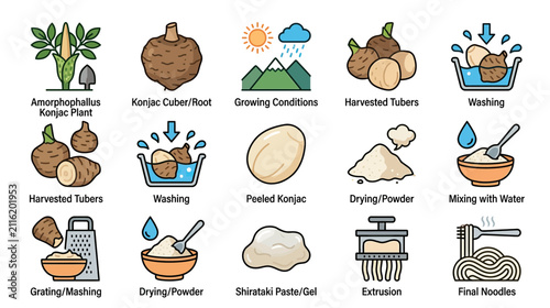 Konjac Root Production Process Icons