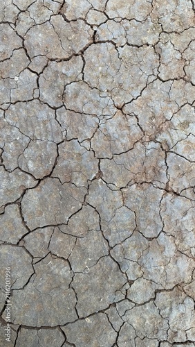 Dry Cracked Earth Soil Surface Texture