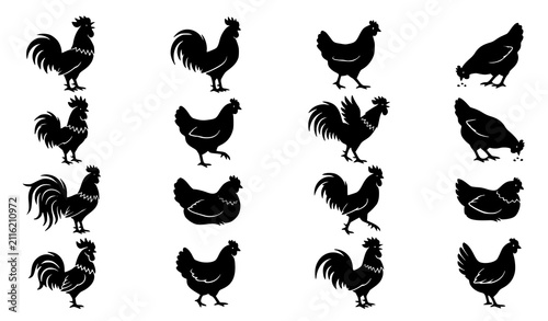 Fotografía Farm Chicken Rooster and Hen Silhouette Icon Collection for Poultry Vector Desig