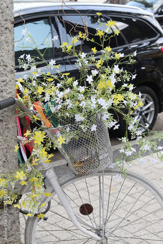 The flowers in a metal basket on a bicycle.