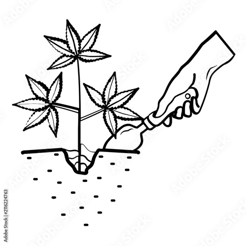 cannabis plant care and soil maintenance concept, medical weed growing in the ground vector icon design, Gardening marijuana with hand shovel stock illustration