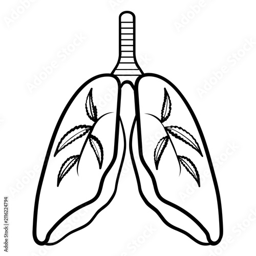 cannabis effects on lungs health concept, pulmonary function diagram vector icon design, Marijuana and Respiratory System stock illustration