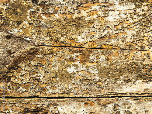 Discover the Artistry of Wooden Texture as a Mesmerizing Background