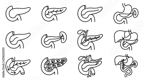 Bild auf Leinwand Human Pancreas Anatomy Diagrams: Digestive System Organs Isolated on White Backg