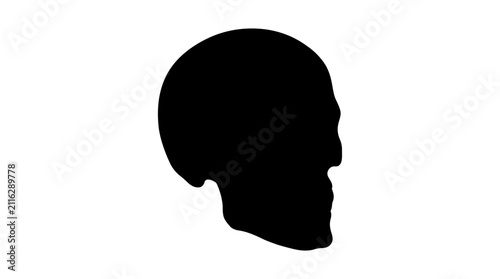 Obraz na plátně Human skull silhouette is presented in profile view, depicted in solid black against a stark white background