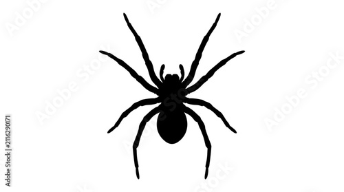 Quadro su tela Spider silhouette appears as a black graphic icon with eight legs on a clean white background, conveying a sense of fear or Halloween theme