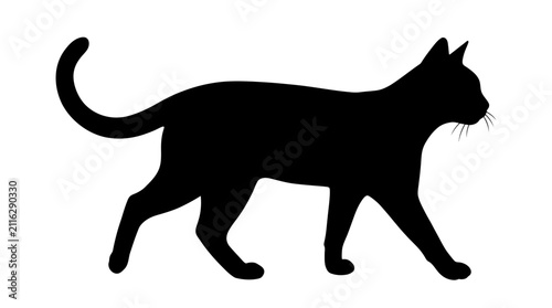 Fotografía Black cat silhouette walks from left to right, showcasing its sleek body, curled tail, and subtle whiskers against a stark white background
