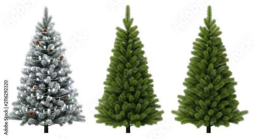 three vibrant christmas trees, one adorned with shimmering white led lights and artificial snow, displayed against a transparent studio background concept of holiday preparation and elegance