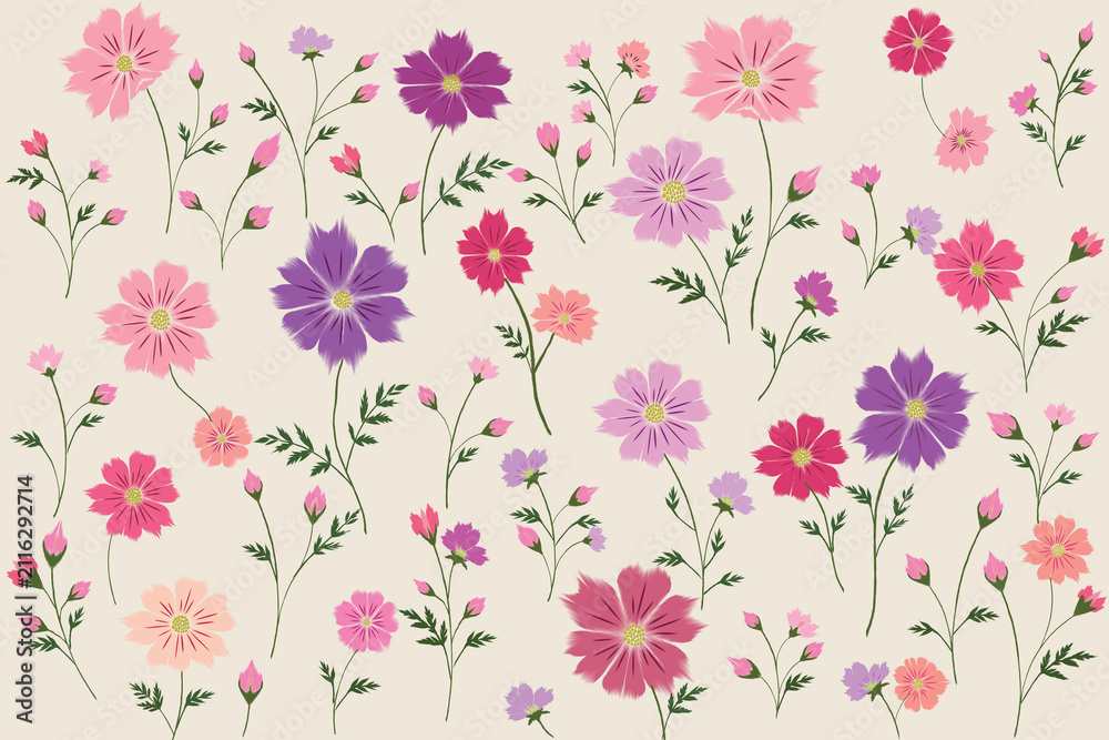 Fototapeta premium Botanical Painterly Cosmos Floral Seamless Pattern, Collection No.007