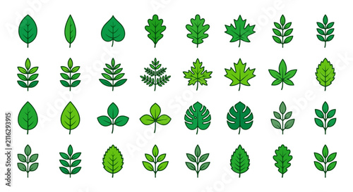 Obraz na płótnie Botanical Green Leaf Icon Set