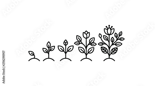 Plant Growth Stages Icon Set