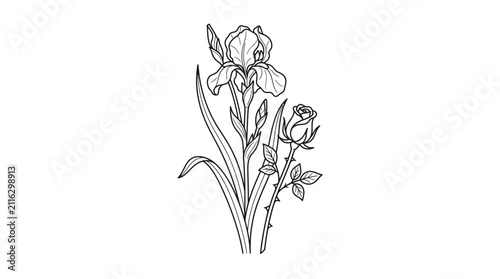 Iris and Rose Botanical Line Art Illustration