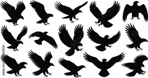 Eagle Bird Silhouette Collection Set with Flying Hunting Perched and Soaring Raptor Vector Shapes