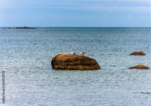 Foto Visit to the fishing village of Altja, Estonia, the Baltic States, Europe, 16 Ma