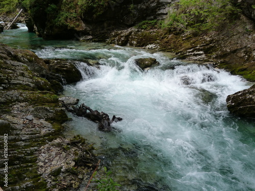 Obraz na plátně torrent in the forest, vintgar gorge, slovenia