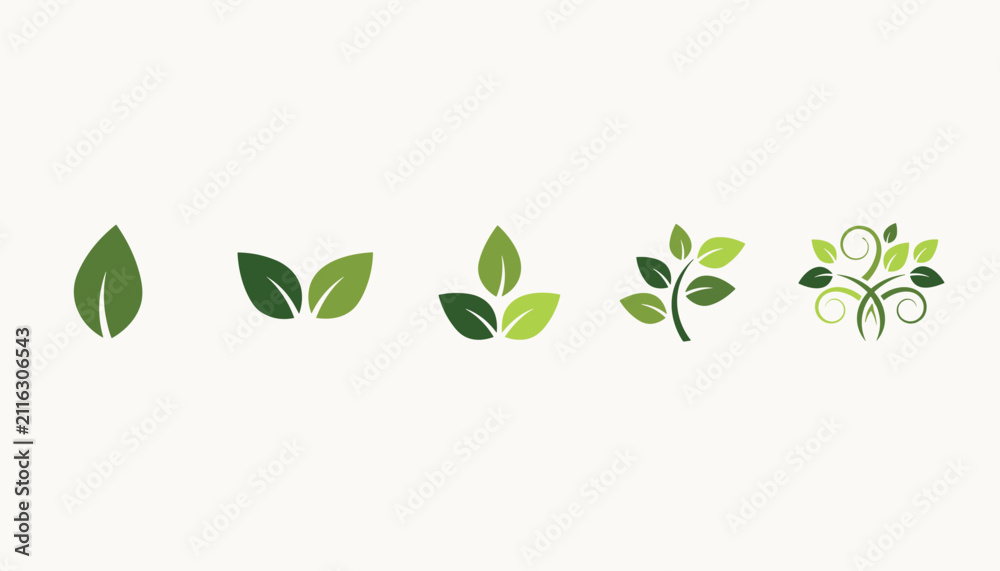 Obraz premium Collection of five green leaf icons showing plant growth progression from a single leaf to a decorative vine cluster.