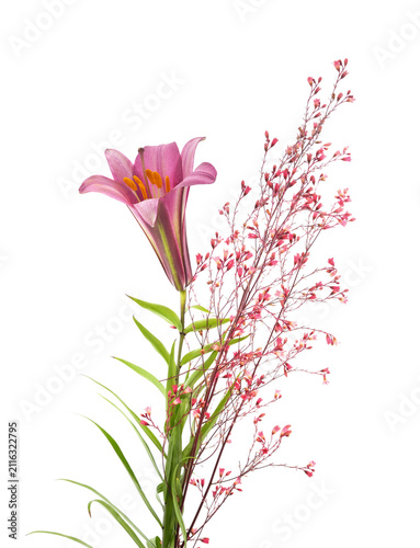 Pink lily flower with small pink flowers on white background.