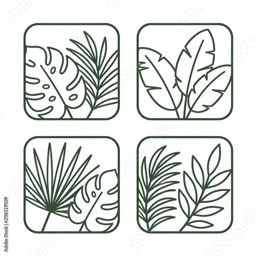 Set of four tropical leaf line art icons in square frames