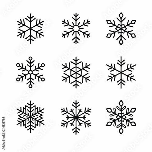 Collection of nine unique snowflake icons in black and white