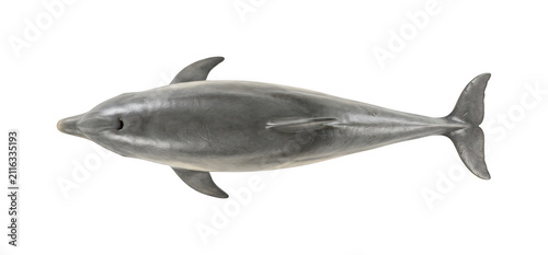 Quadro su tela Sleek dolphin png Realistic dolphin cutout Grey dolphin png Marine dolphin cutou